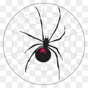 Black, Spider, Web, Widow, Legs, Arachnid - Free Black And White Clip Art Black Widow