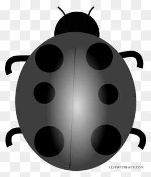 Wonderful Ladybug Animal Free Black White Clipart Images - Ladybug