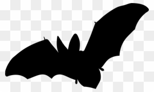 Bat, Mammal, Flying, No Background, Vector - Townsend's Big Eared Bat