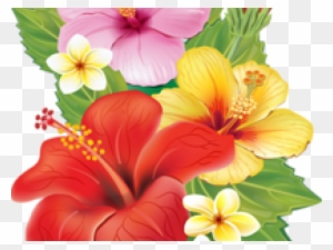 Plumeria Clipart Red - Cafepress Tropical Hibiscus Tile Coaster
