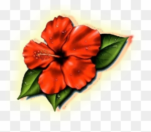 46 Hibiscus Tattoo Ideas  Hawaiian Flower Tattoo Designs with Meanings