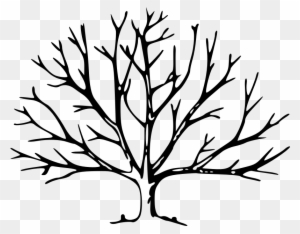 Clipart - Tree - Tree With Branches Outline