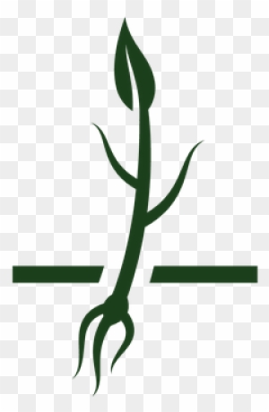Free Free Plant Life Cycle Svg 8 SVG PNG EPS DXF File