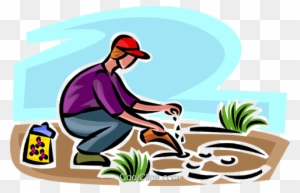 Gardener Planting Seeds Royalty Free Vector Clip Art - Ways Of Conserving Natural Resources