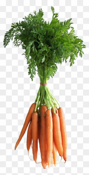 20 Incredible Carrot Vegetables Clipart - Carrots Png
