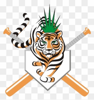 The Tigers Of Ciego De Ávila Are The New Cuban Baseball - Ciego De Avila Baseball