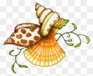 Seashell Clipart Seashell Lineart Free Clip Art Clip - Seashell ...