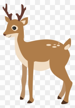Holly Told Her Friend Dom All About The Leaf And He - White-tailed Deer