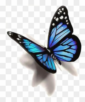Blue Butterfly Png Photo - Butterfly Tattoo Design