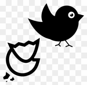 Pajaro Negro Animado - Free Transparent PNG Clipart Images Download Pajaro Negro Animado - Free Transparent PNG Clipart Images Download