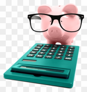 Pig With Glasses And Calculator - Domestic Pig