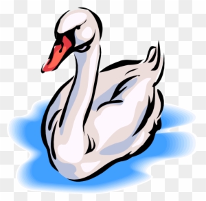 images Swan Swimming Clipart swan clipart baby swan swans swimming