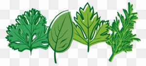 Herbs Clipart Transparent - Home Farmer Herb Seed Kit