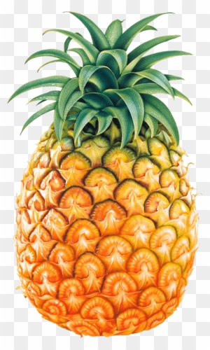 Juice Pineapple Clip Art - Pineapple Png