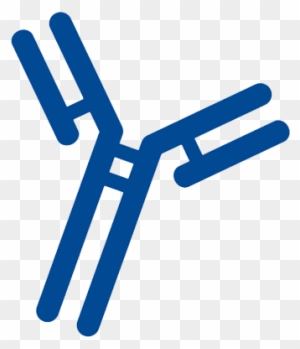 Antibody Clipart Transparent Png Clipart Images Free Download Clipartmax