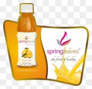 Mango Drink - Spring Leaves Mango Drink