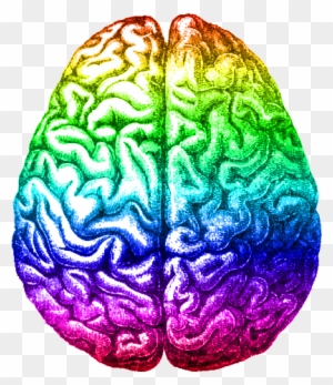 picture Psychology Brain Gif Transparent tag mnd left and right brain gif