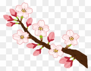 桜 が 咲く イラスト - Free Transparent PNG Clipart Images