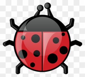 Ladybird, Ladybug, Animal, Bug, Beetle - Spring Animals Clip Art
