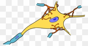 Neuron Clip Art, Transparent PNG Clipart Images Free Download - ClipartMax