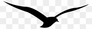 Calligraphy Alphabet Runic Z - European Swallow