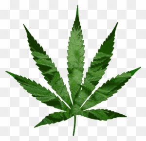 Pot Plant Clipart Animated Gif - Cannabis Leaf