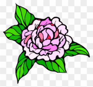 Louisiana State Flower - Magnolia Flower Clipart - Free Transparent PNG