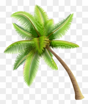$2 Tacos $3 Domestic Bottle Beer $4 House Margaritas - Transparent Background Palm Tree Png
