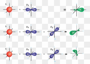 Sp2 - General Shape Of Orbitals - Free Transparent PNG Clipart Images ...