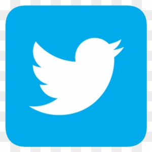 Twitter Bird Logo Square
