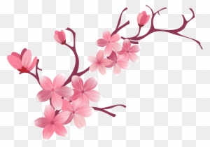 Cherry Blossom Flower - Sakura Flower Sakura Png