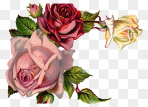 Free Digital Flower Pink Rose Corner Design - Vintage Flower Corner Png