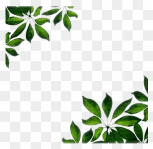 Leaf Frame Wonderful Picture Images - Green Leaves Border Png