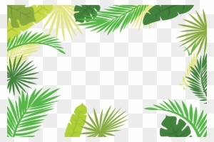 Arecaceae Text Branch Leaf Illustration - Tropical Leaves Border Png