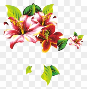 Floral Design Lilium Petal Flower - Flowers. Coloring For Kids