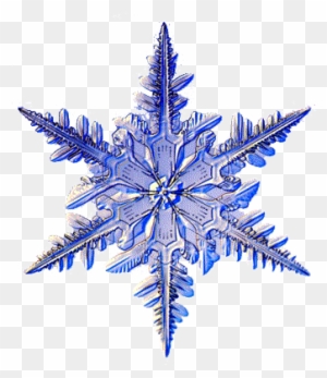 Ice Crystal Clipart Transparent Png Clipart Images Free Download Clipartmax Ice Crystal Clipart Transparent Png Clipart Images Free Download Clipartmax