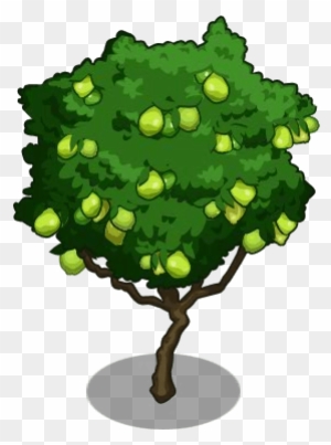 Lemon Tree Clipart - Guava Tree Clipart