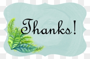 Thank You Message Next To Fresh Fern And Other Plants - Thank You Ecology