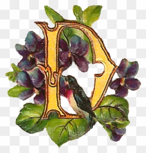 Free Digital Victorian Drop Cap Letter 'f' With Flowers - Iris
