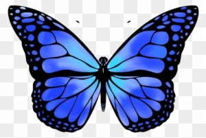 butterflies monarch ies clipart