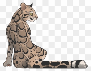 Leopard Seal Clipart Deviantart - Clouded Leopard Drawing Leopard Seal Clipart Deviantart - Clouded Leopard Drawing