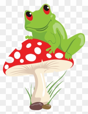 Frog Mushroom Lithobates Clamitans Illustration - Frog And Mushroom Drawing