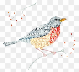 Bird European Robin Visual Arts Watercolor Painting - Illustration