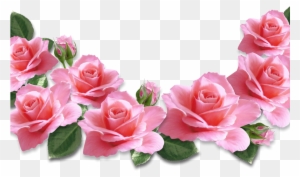 Pink Rose Clip Art Free Clip Artme - Valentines Day Pink Roses
