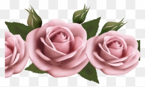 Beautiful Transparent Pink Roses Png Picture Gallery - Flowers On A Paper Background