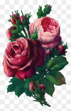 Vintage Rose Clip Art, Vintage Rose Decoupage, Some - Flower Vintage Rose