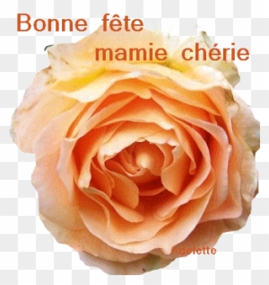 Bonne Fete Mamie Cherie Bonne Fete Mamie Cherie Free Transparent Png Clipart Images Download
