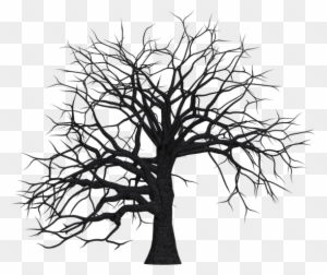 Tree, Digital Art, Isolated, Without Leaves, Leafless - Leafless Tree Silhouette