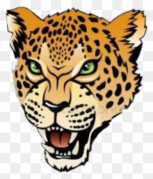 Jaguar Head - Free Transparent PNG Clipart Images Download