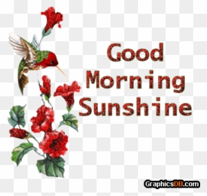 Morning Good Bird Gif Good Morning Sunshine Animated Gif Free Transparent Png Clipart Images Download